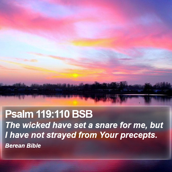 Psalms 119:110 BSB Bible Study