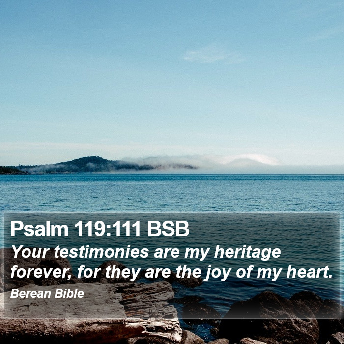 Psalms 119:111 BSB Bible Study