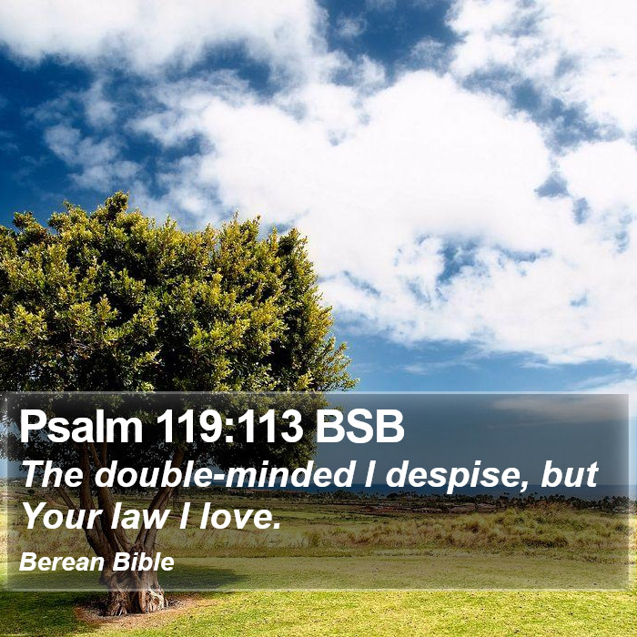 Psalms 119:113 BSB Bible Study