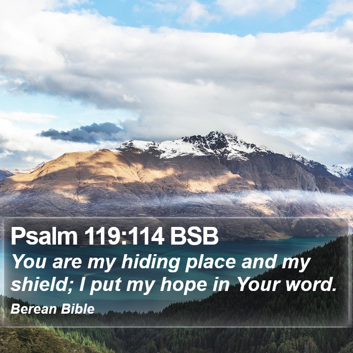 Psalms 119:114 BSB Bible Study