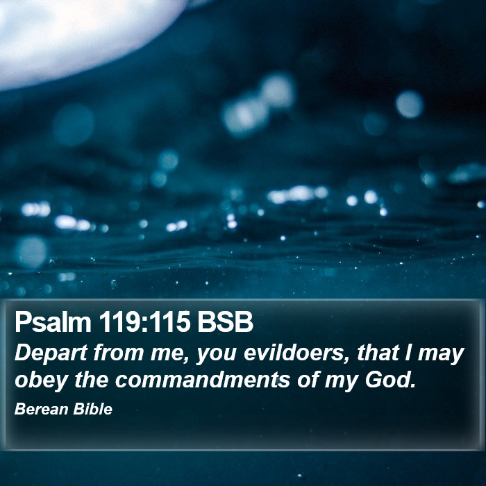 Psalms 119:115 BSB Bible Study