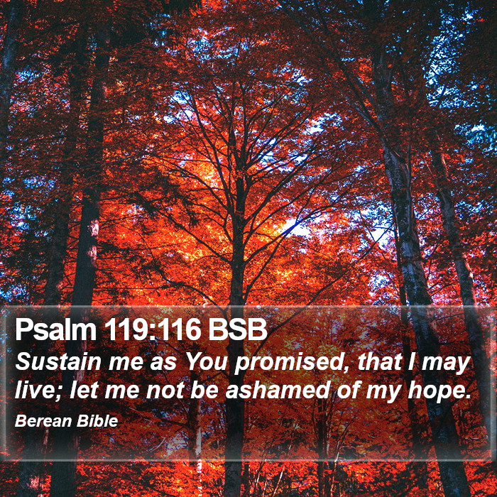 Psalms 119:116 BSB Bible Study