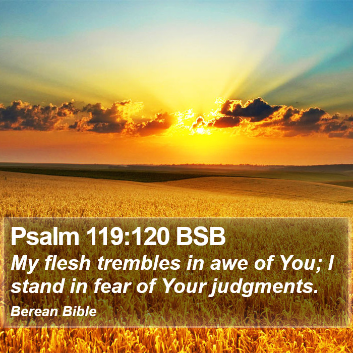 Psalms 119:120 BSB Bible Study