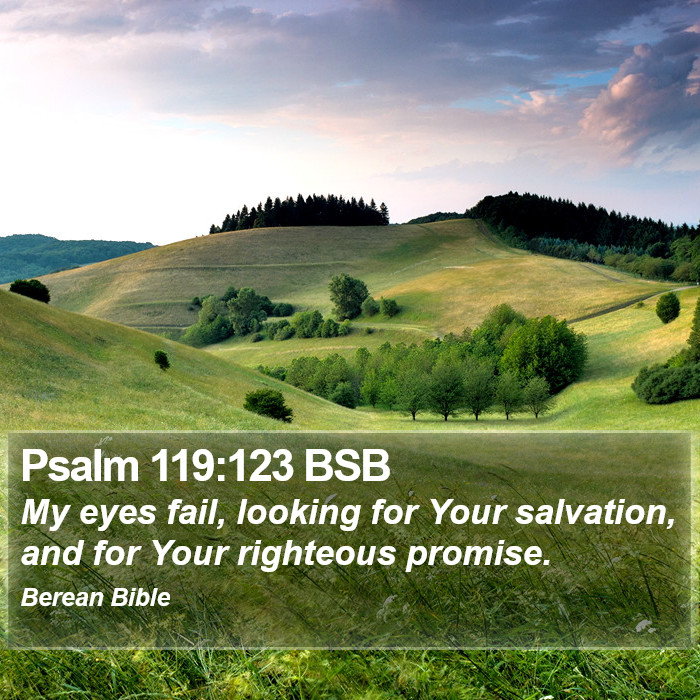 Psalms 119:123 BSB Bible Study