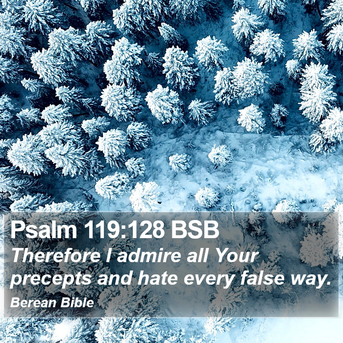 Psalms 119:128 BSB Bible Study