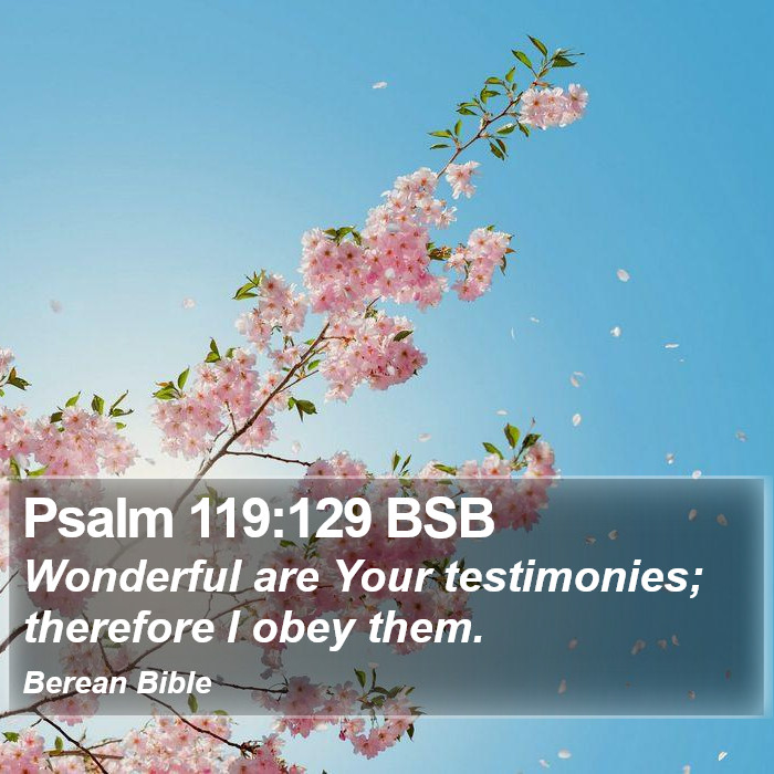 Psalms 119:129 BSB Bible Study