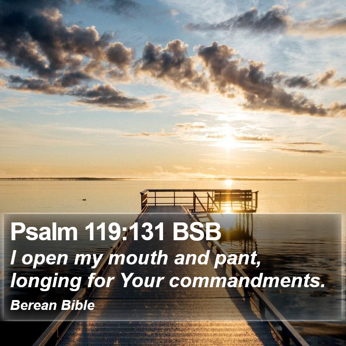 Psalms 119:131 BSB Bible Study