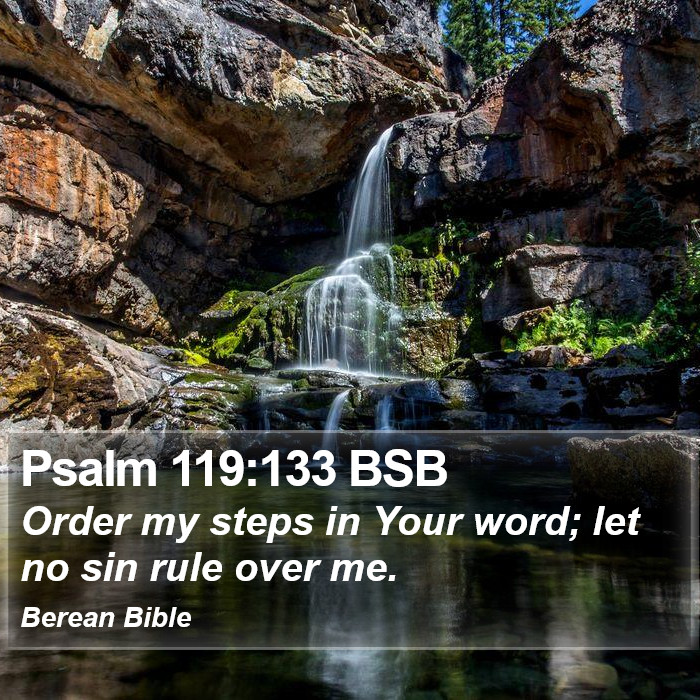 Psalms 119:133 BSB Bible Study