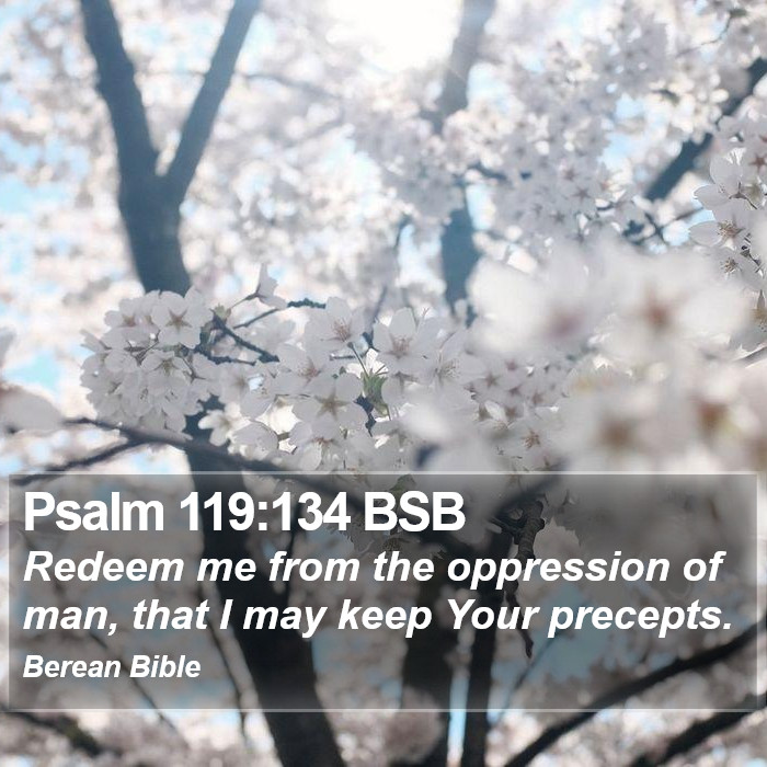 Psalms 119:134 BSB Bible Study