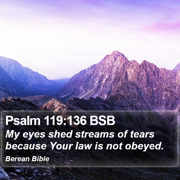 Psalms 119:136 BSB Bible Study