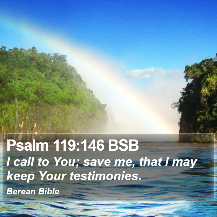 Psalms 119:146 BSB Bible Study