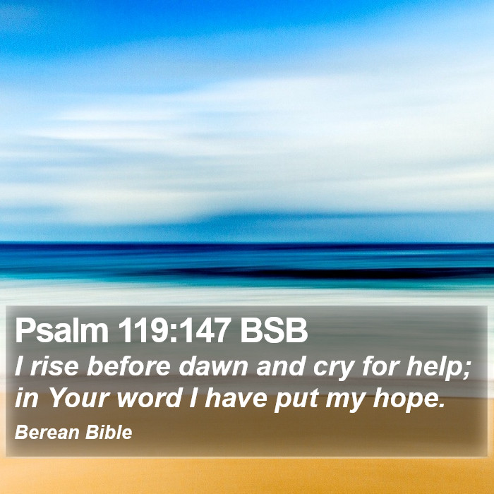 Psalms 119:147 BSB Bible Study