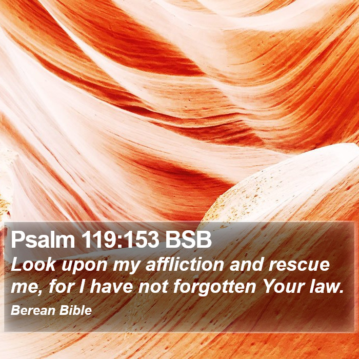 Psalms 119:153 BSB Bible Study