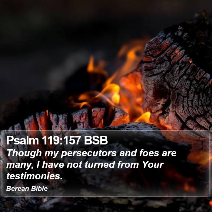 Psalms 119:157 BSB Bible Study