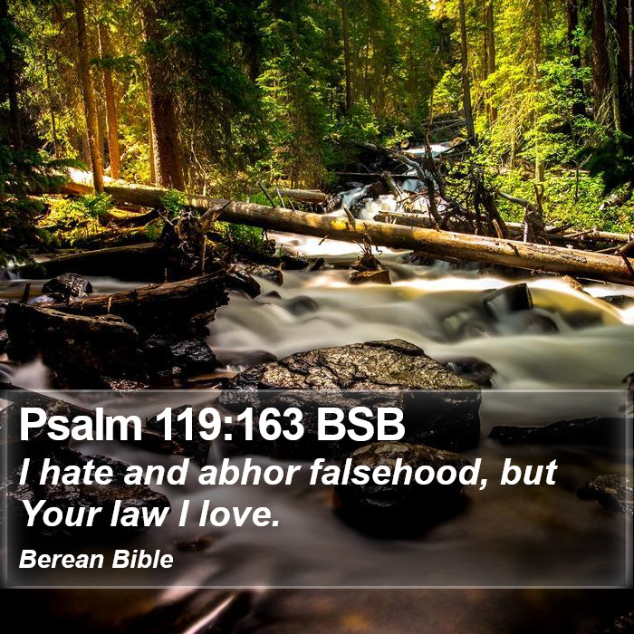 Psalms 119:163 BSB Bible Study