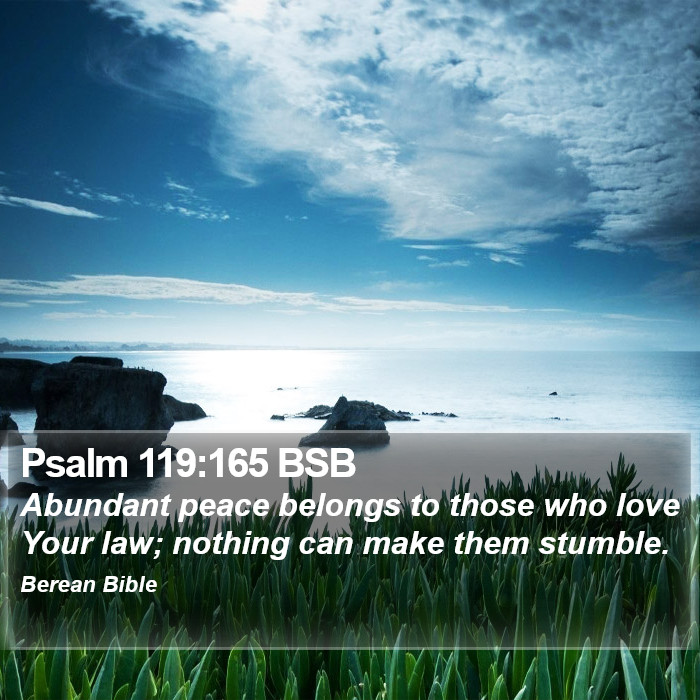 Psalms 119:165 BSB Bible Study