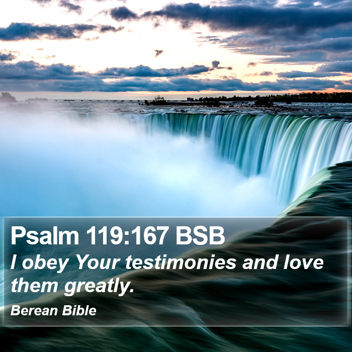 Psalms 119:167 BSB Bible Study