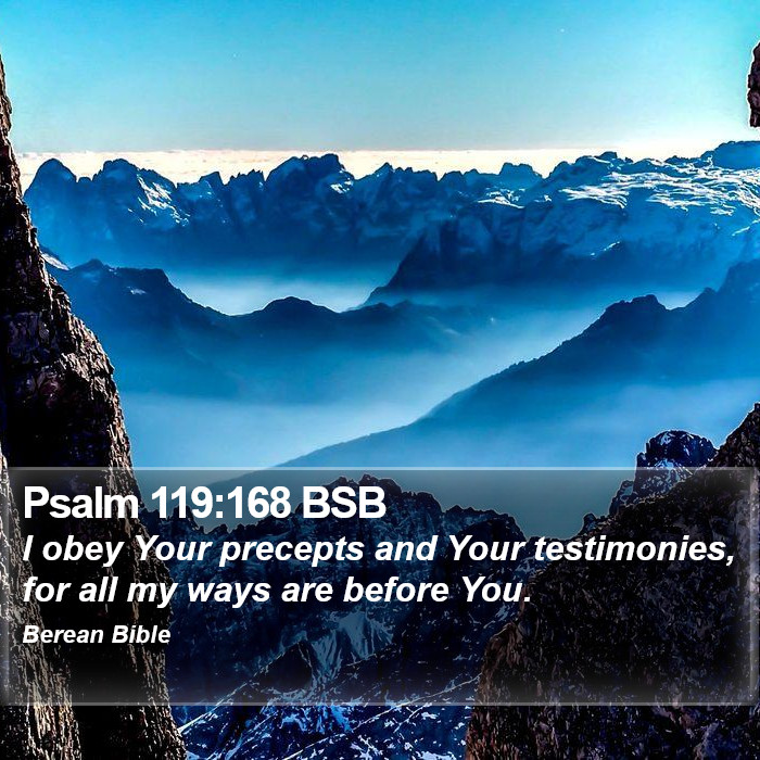 Psalms 119:168 BSB Bible Study