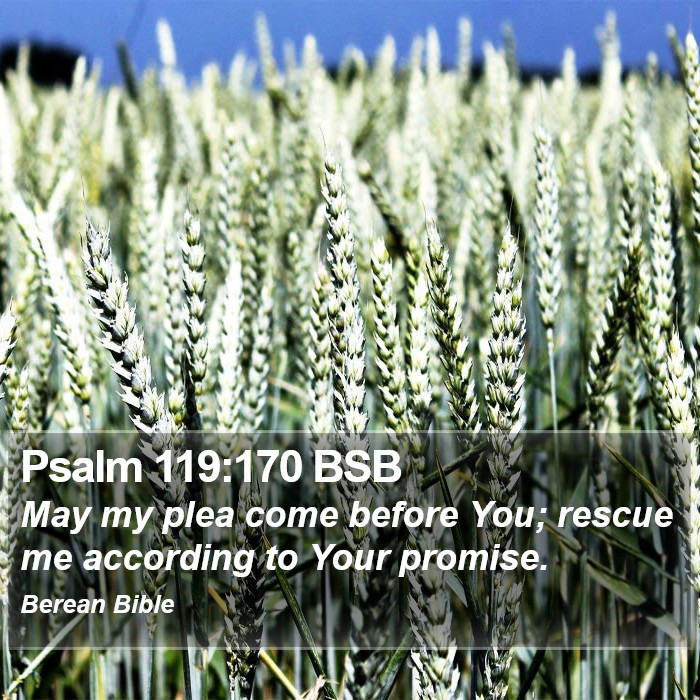 Psalms 119:170 BSB Bible Study