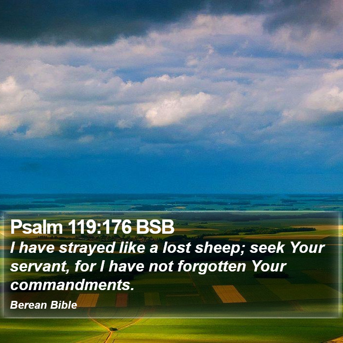 Psalms 119:176 BSB Bible Study