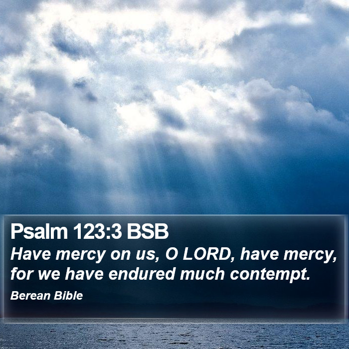 Psalms 123:3 BSB Bible Study