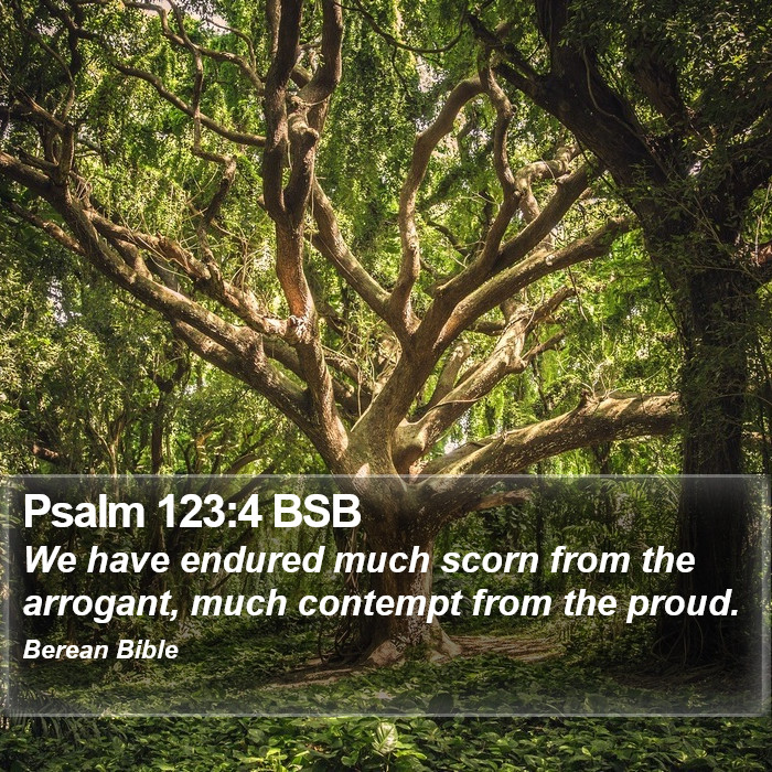 Psalms 123:4 BSB Bible Study