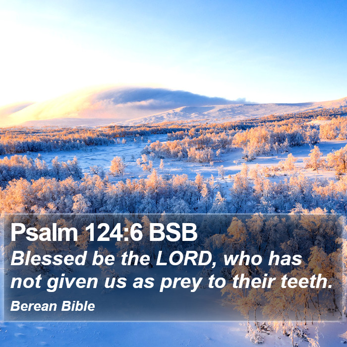 Psalms 124:6 BSB Bible Study