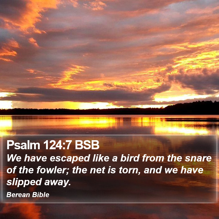 Psalms 124:7 BSB Bible Study