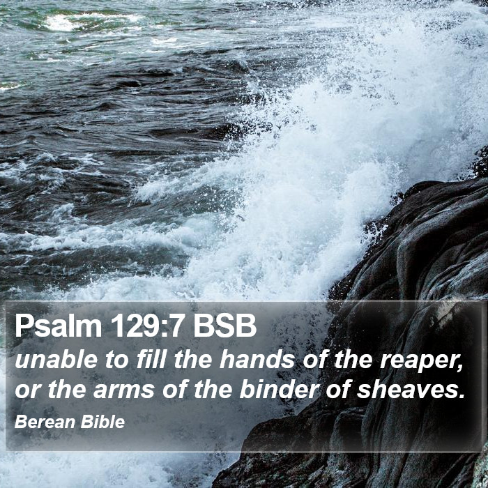 Psalms 129:7 BSB Bible Study