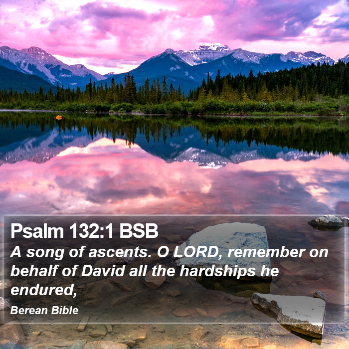 Psalms 132:1 BSB Bible Study