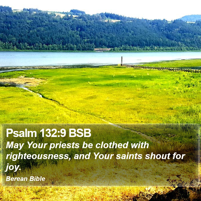 Psalms 132:9 BSB Bible Study