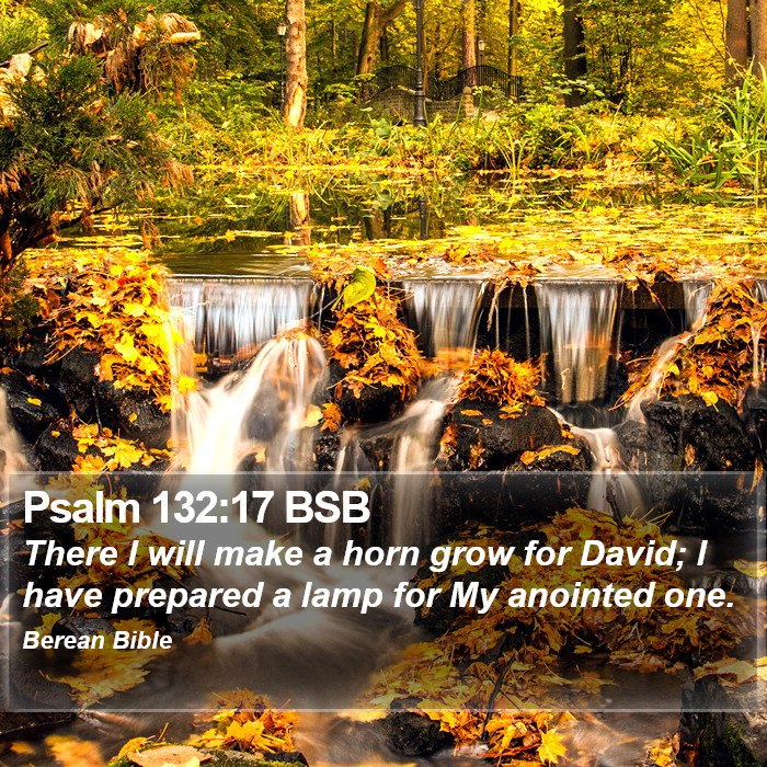 Psalms 132:17 BSB Bible Study