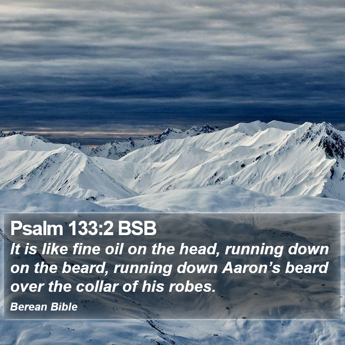 Psalms 133:2 BSB Bible Study