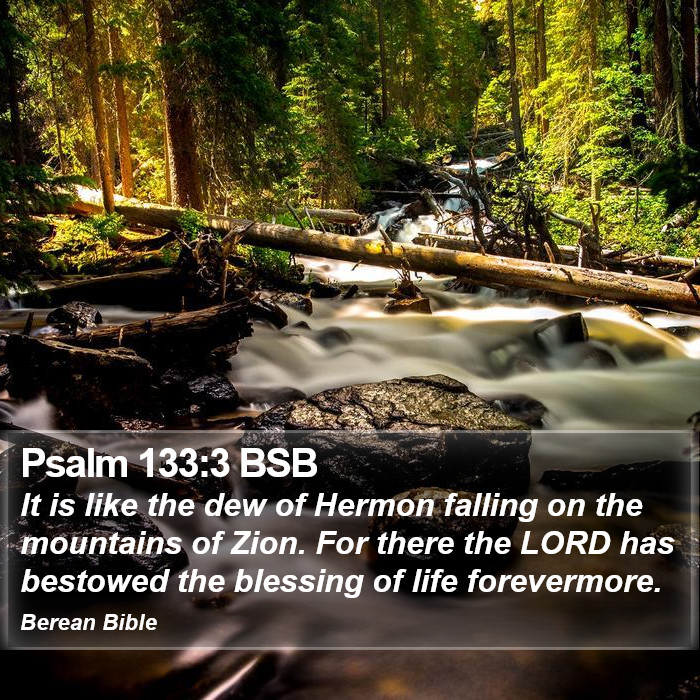 Psalms 133:3 BSB Bible Study