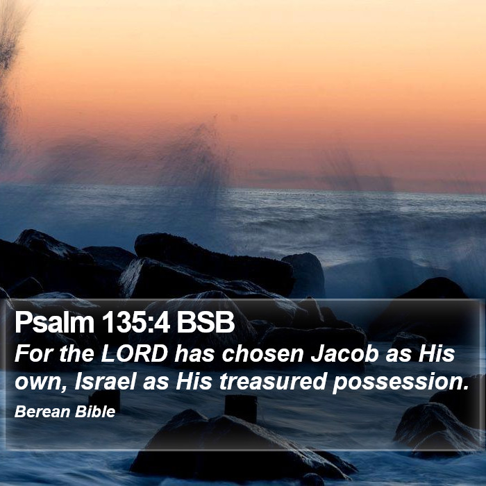 Psalms 135:4 BSB Bible Study