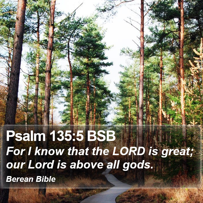 Psalms 135:5 BSB Bible Study