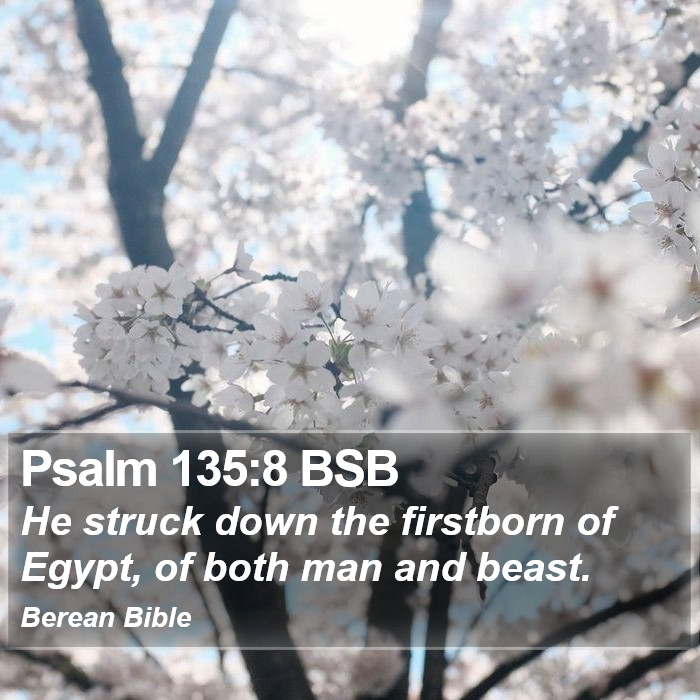 Psalms 135:8 BSB Bible Study