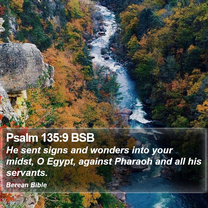 Psalms 135:9 BSB Bible Study