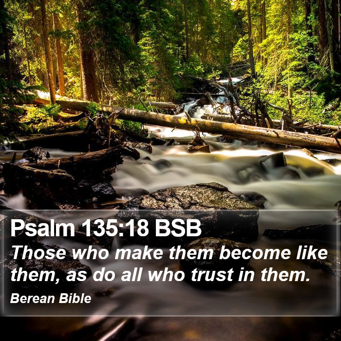 Psalms 135:18 BSB Bible Study