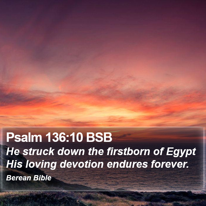 Psalms 136:10 BSB Bible Study