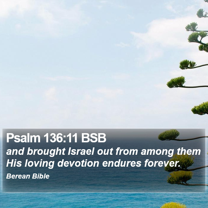 Psalms 136:11 BSB Bible Study