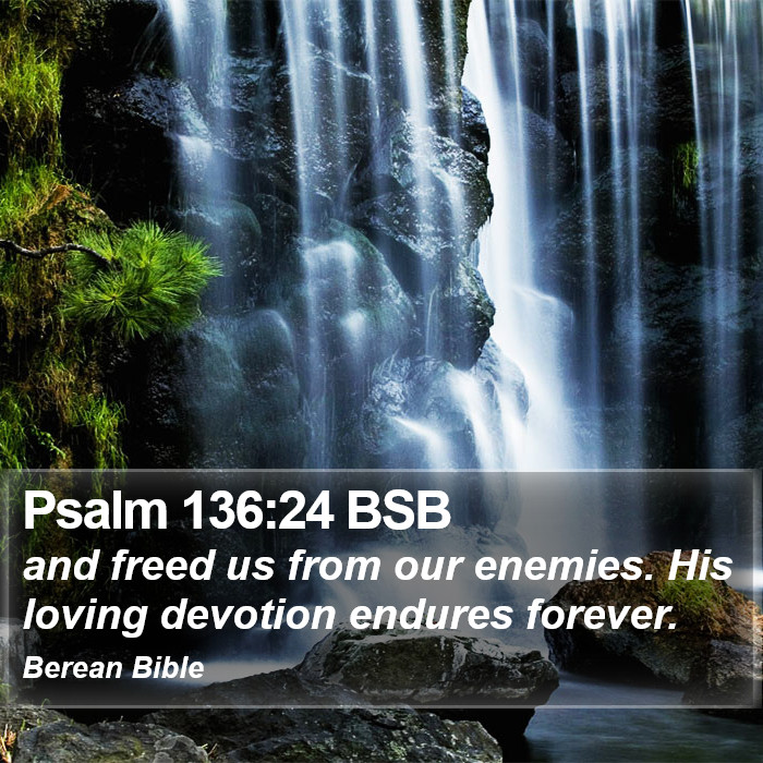 Psalms 136:24 BSB Bible Study