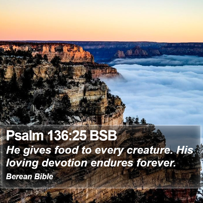 Psalms 136:25 BSB Bible Study