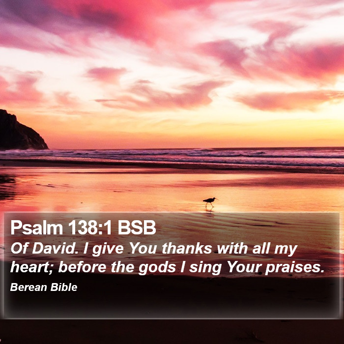 Psalms 138:1 BSB Bible Study