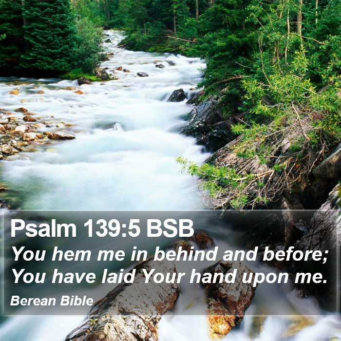 Psalms 139:5 BSB Bible Study