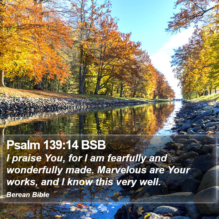 Psalms 139:14 BSB Bible Study