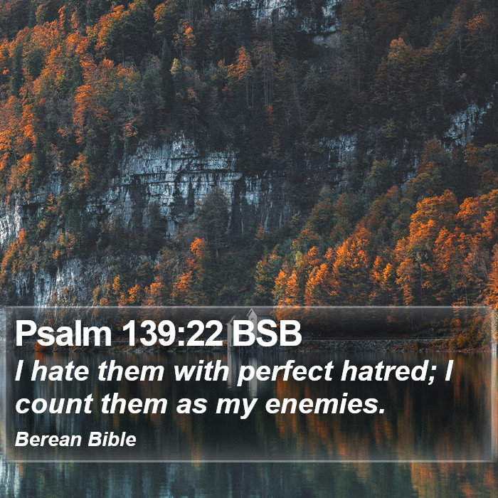 Psalms 139:22 BSB Bible Study