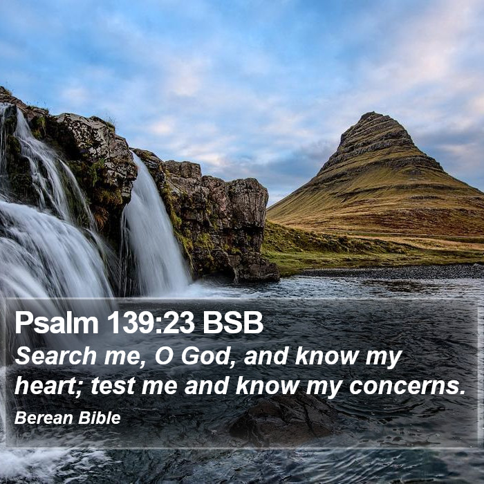 Psalms 139:23 BSB Bible Study