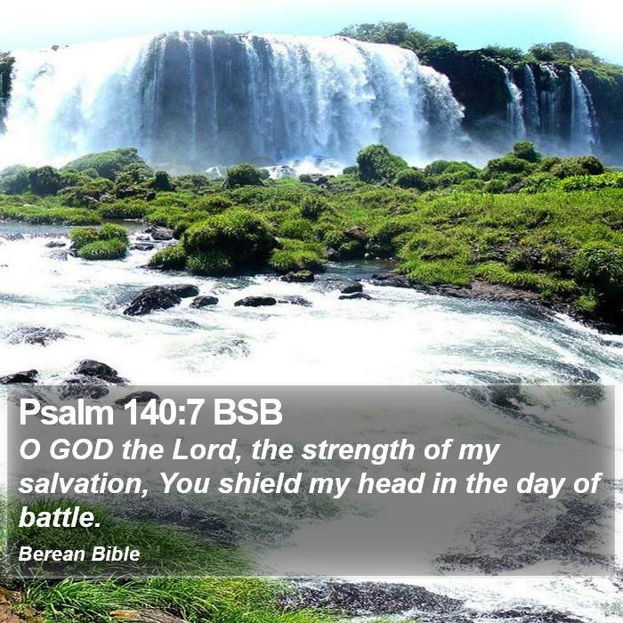 Psalms 140:7 BSB Bible Study