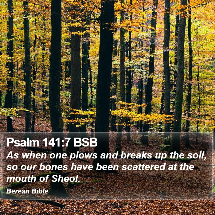 Psalms 141:7 BSB Bible Study